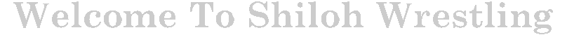 shilohtitle.gif